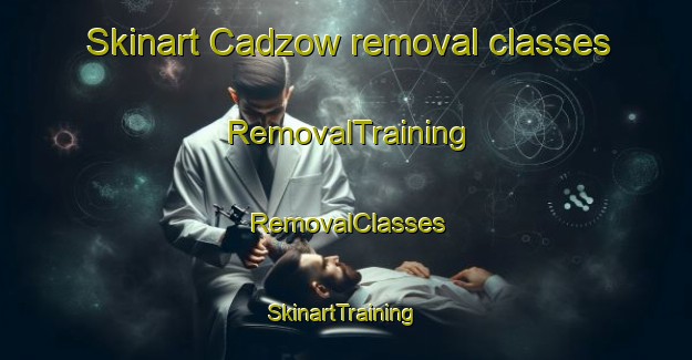 Skinart Cadzow removal classes | RemovalTraining | RemovalClasses | SkinartTraining-United Kingdom
