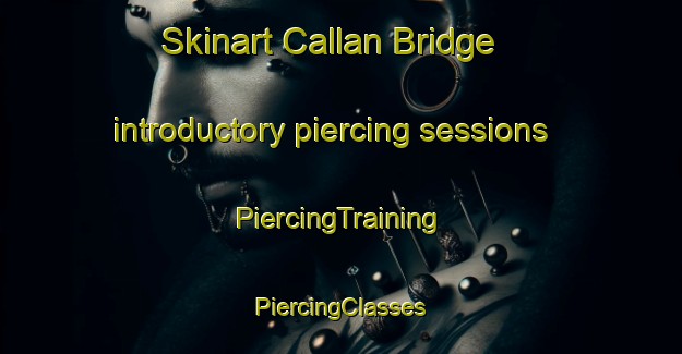 Skinart Callan Bridge introductory piercing sessions | #PiercingTraining #PiercingClasses #SkinartTraining-United Kingdom