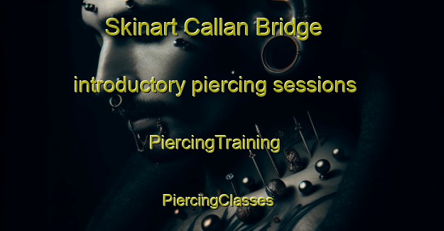 Skinart Callan Bridge introductory piercing sessions | PiercingTraining | PiercingClasses | SkinartTraining-United Kingdom