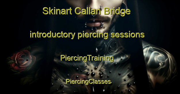 Skinart Callan Bridge introductory piercing sessions | PiercingTraining | PiercingClasses | SkinartTraining-United Kingdom