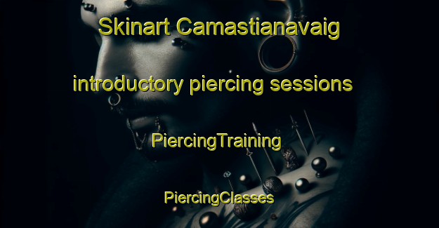 Skinart Camastianavaig introductory piercing sessions | #PiercingTraining #PiercingClasses #SkinartTraining-United Kingdom