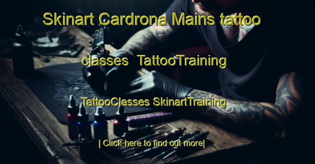 Skinart Cardrona Mains tattoo classes | #TattooTraining #TattooClasses #SkinartTraining-United Kingdom