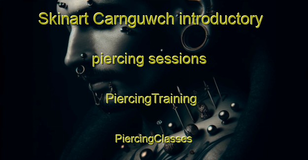 Skinart Carnguwch introductory piercing sessions | #PiercingTraining #PiercingClasses #SkinartTraining-United Kingdom