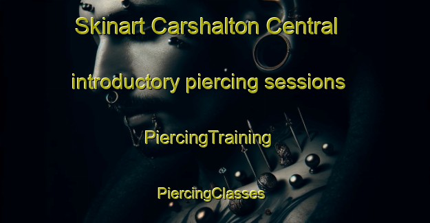 Skinart Carshalton Central introductory piercing sessions | PiercingTraining | PiercingClasses | SkinartTraining-United Kingdom