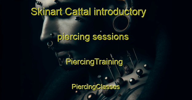 Skinart Cattal introductory piercing sessions | #PiercingTraining #PiercingClasses #SkinartTraining-United Kingdom