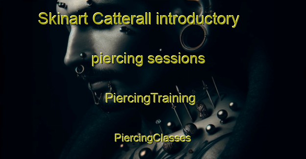 Skinart Catterall introductory piercing sessions | #PiercingTraining #PiercingClasses #SkinartTraining-United Kingdom