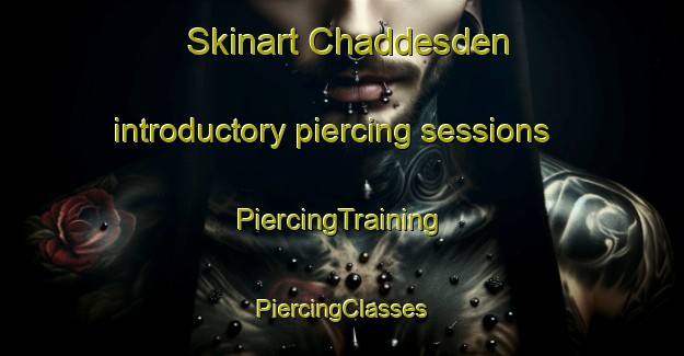 Skinart Chaddesden introductory piercing sessions | #PiercingTraining #PiercingClasses #SkinartTraining-United Kingdom