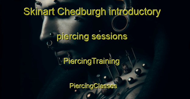 Skinart Chedburgh introductory piercing sessions | PiercingTraining | PiercingClasses | SkinartTraining-United Kingdom