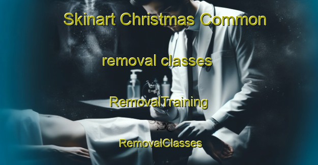 Skinart Christmas Common removal classes | RemovalTraining | RemovalClasses | SkinartTraining-United Kingdom