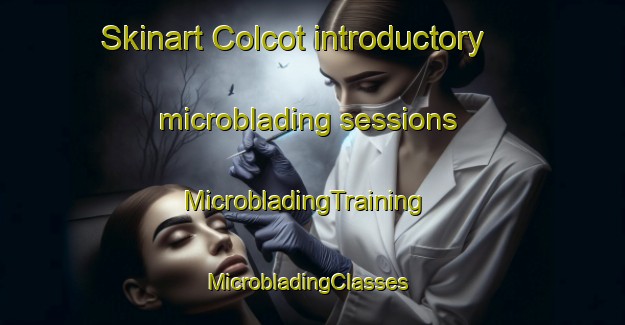 Skinart Colcot introductory microblading sessions | MicrobladingTraining | MicrobladingClasses | SkinartTraining-United Kingdom