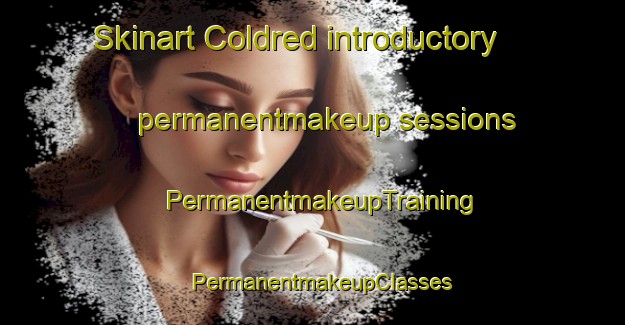 Skinart Coldred introductory permanentmakeup sessions | PermanentmakeupTraining | PermanentmakeupClasses | SkinartTraining-United Kingdom