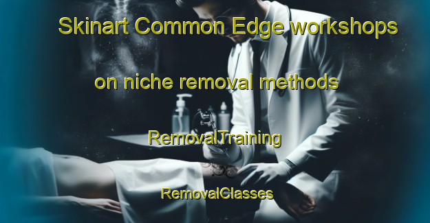 Skinart Common Edge workshops on niche removal methods | RemovalTraining | RemovalClasses | SkinartTraining-United Kingdom