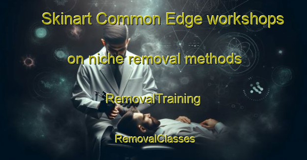 Skinart Common Edge workshops on niche removal methods | RemovalTraining | RemovalClasses | SkinartTraining-United Kingdom