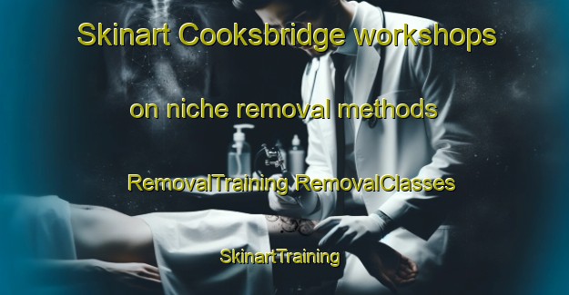 Skinart Cooksbridge workshops on niche removal methods | #RemovalTraining #RemovalClasses #SkinartTraining-United Kingdom