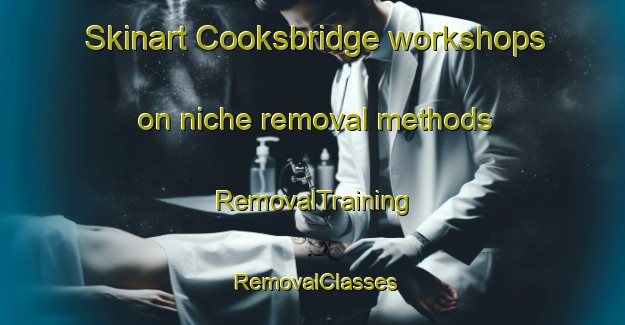 Skinart Cooksbridge workshops on niche removal methods | RemovalTraining | RemovalClasses | SkinartTraining-United Kingdom