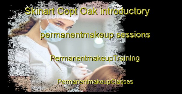 Skinart Copt Oak introductory permanentmakeup sessions | #PermanentmakeupTraining #PermanentmakeupClasses #SkinartTraining-United Kingdom