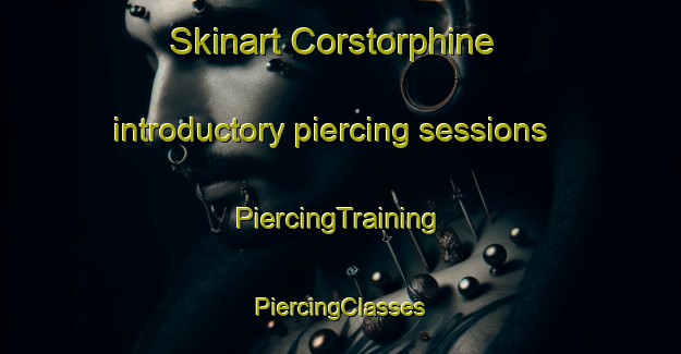 Skinart Corstorphine introductory piercing sessions | #PiercingTraining #PiercingClasses #SkinartTraining-United Kingdom