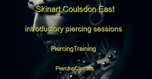 Skinart Coulsdon East introductory piercing sessions | PiercingTraining | PiercingClasses | SkinartTraining-United Kingdom