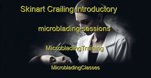 Skinart Crailing introductory microblading sessions | #MicrobladingTraining #MicrobladingClasses #SkinartTraining-United Kingdom