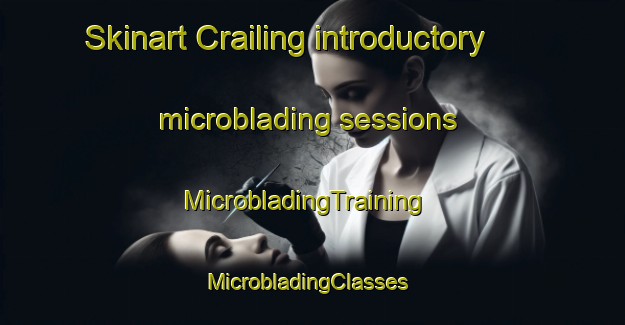 Skinart Crailing introductory microblading sessions | MicrobladingTraining | MicrobladingClasses | SkinartTraining-United Kingdom