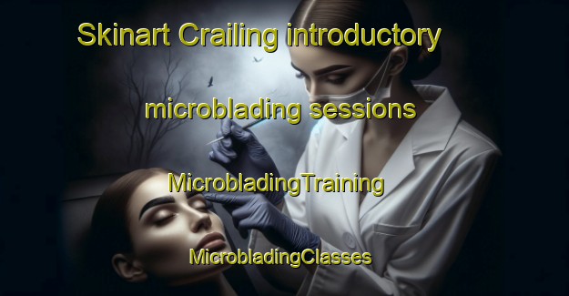 Skinart Crailing introductory microblading sessions | MicrobladingTraining | MicrobladingClasses | SkinartTraining-United Kingdom