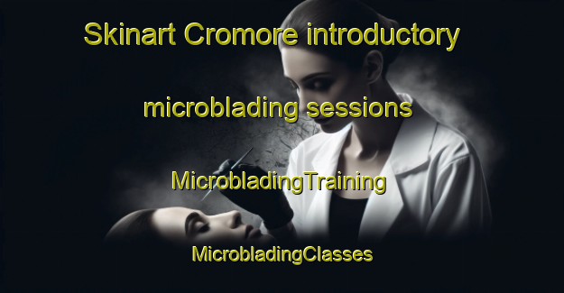 Skinart Cromore introductory microblading sessions | #MicrobladingTraining #MicrobladingClasses #SkinartTraining-United Kingdom