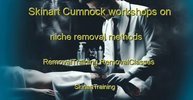 Skinart Cumnock workshops on niche removal methods | #RemovalTraining #RemovalClasses #SkinartTraining-United Kingdom