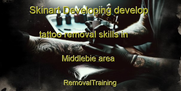 Skinart Developing develop tattoo removal skills in Middlebie area | RemovalTraining | RemovalClasses | SkinartTraining-United Kingdom