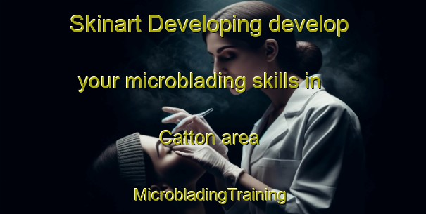 Skinart Developing develop your microblading skills in Catton area | #MicrobladingTraining #MicrobladingClasses #SkinartTraining-United Kingdom