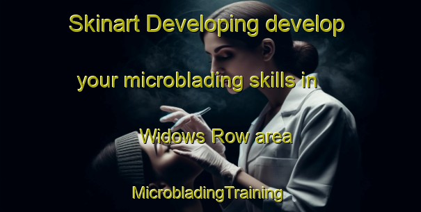 Skinart Developing develop your microblading skills in Widows Row area | #MicrobladingTraining #MicrobladingClasses #SkinartTraining-United Kingdom