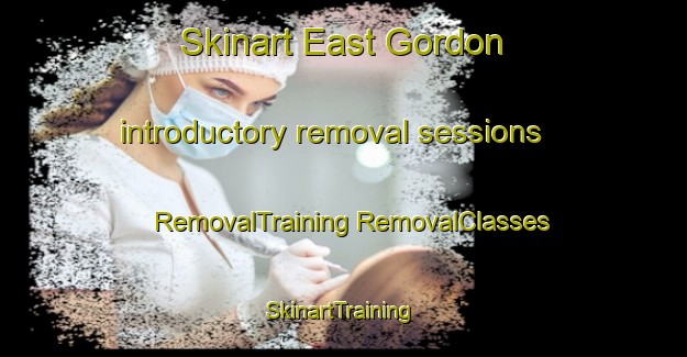 Skinart East Gordon introductory removal sessions | #RemovalTraining #RemovalClasses #SkinartTraining-United Kingdom