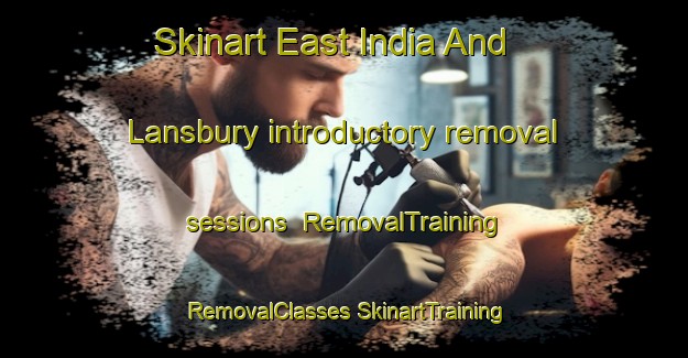 Skinart East India And Lansbury introductory removal sessions | #RemovalTraining #RemovalClasses #SkinartTraining-United Kingdom