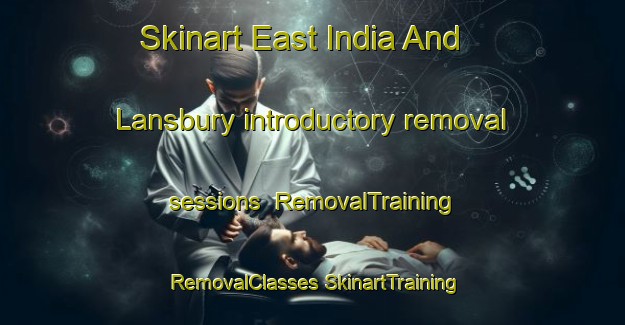 Skinart East India And Lansbury introductory removal sessions | #RemovalTraining #RemovalClasses #SkinartTraining-United Kingdom