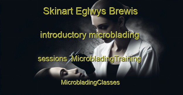 Skinart Eglwys Brewis introductory microblading sessions | MicrobladingTraining | MicrobladingClasses | SkinartTraining-United Kingdom