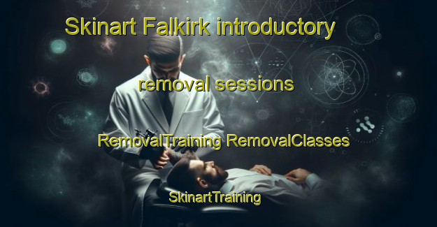 Skinart Falkirk introductory removal sessions | #RemovalTraining #RemovalClasses #SkinartTraining-United Kingdom