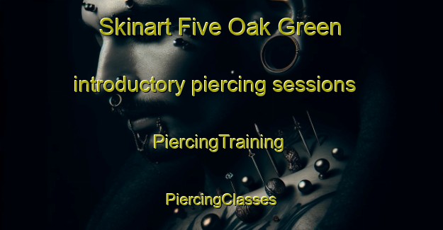 Skinart Five Oak Green introductory piercing sessions | #PiercingTraining #PiercingClasses #SkinartTraining-United Kingdom