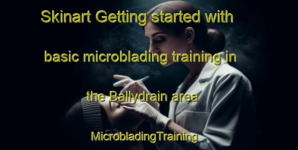 Skinart Getting started with basic microblading training in the Ballydrain area | MicrobladingTraining | MicrobladingClasses | SkinartTraining-United Kingdom