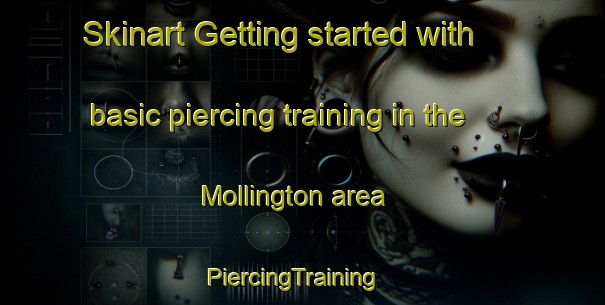 Skinart Getting started with basic piercing training in the Mollington area | PiercingTraining | PiercingClasses | SkinartTraining-United Kingdom