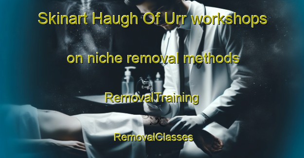 Skinart Haugh Of Urr workshops on niche removal methods | RemovalTraining | RemovalClasses | SkinartTraining-United Kingdom