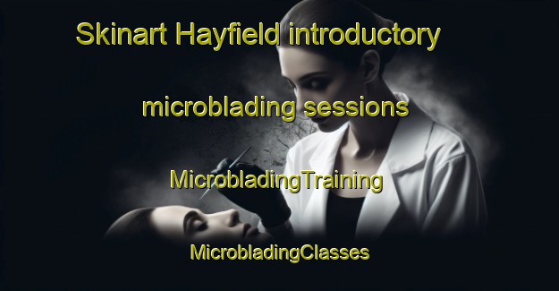 Skinart Hayfield introductory microblading sessions | #MicrobladingTraining #MicrobladingClasses #SkinartTraining-United Kingdom