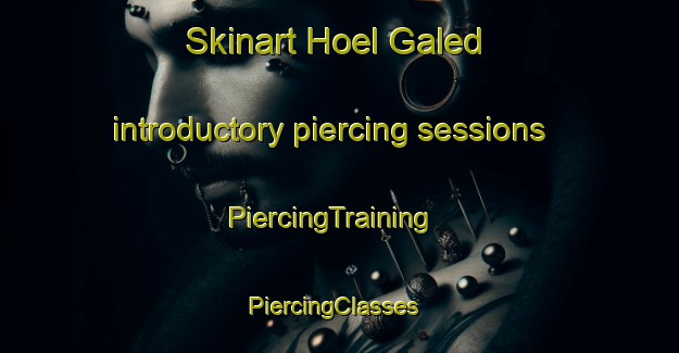 Skinart Hoel Galed introductory piercing sessions | PiercingTraining | PiercingClasses | SkinartTraining-United Kingdom