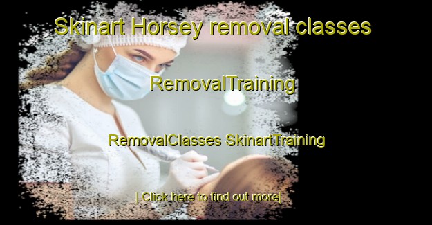 Skinart Horsey removal classes | #RemovalTraining #RemovalClasses #SkinartTraining-United Kingdom