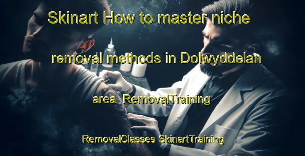 Skinart How to master niche removal methods in Dolwyddelan area | #RemovalTraining #RemovalClasses #SkinartTraining-United Kingdom