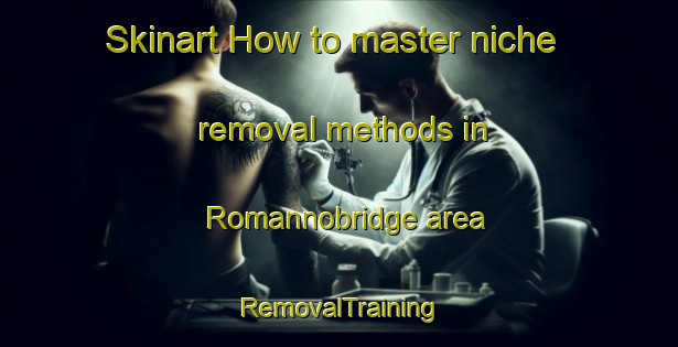 Skinart How to master niche removal methods in Romannobridge area | RemovalTraining | RemovalClasses | SkinartTraining-United Kingdom