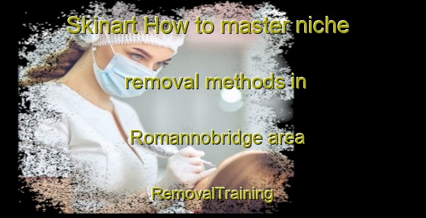Skinart How to master niche removal methods in Romannobridge area | RemovalTraining | RemovalClasses | SkinartTraining-United Kingdom