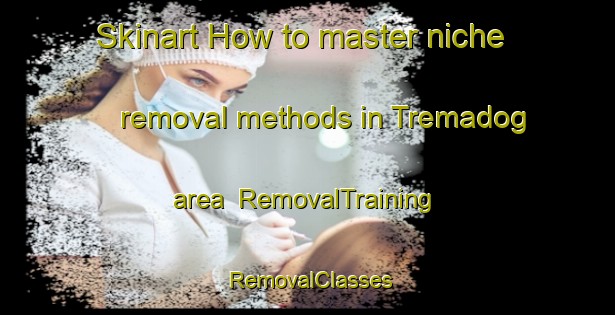 Skinart How to master niche removal methods in Tremadog area | RemovalTraining | RemovalClasses | SkinartTraining-United Kingdom