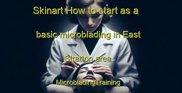 Skinart How to start as a basic microblading in East Stratton area | MicrobladingTraining | MicrobladingClasses | SkinartTraining-United Kingdom