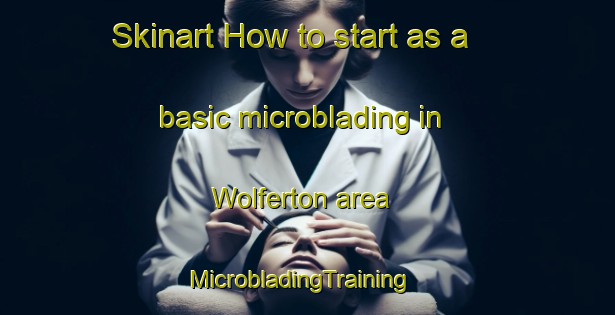 Skinart How to start as a basic microblading in Wolferton area | MicrobladingTraining | MicrobladingClasses | SkinartTraining-United Kingdom