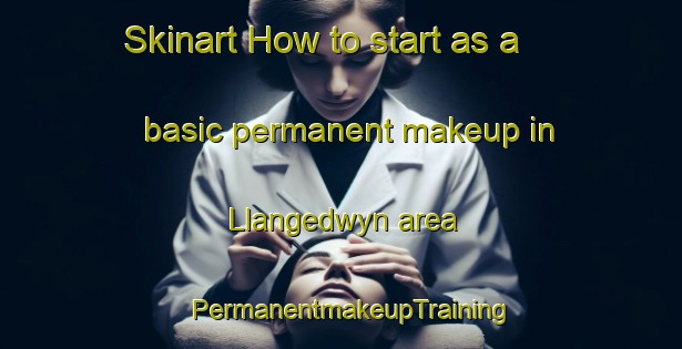Skinart How to start as a basic permanent makeup in Llangedwyn area | PermanentmakeupTraining | PermanentmakeupClasses | SkinartTraining-United Kingdom