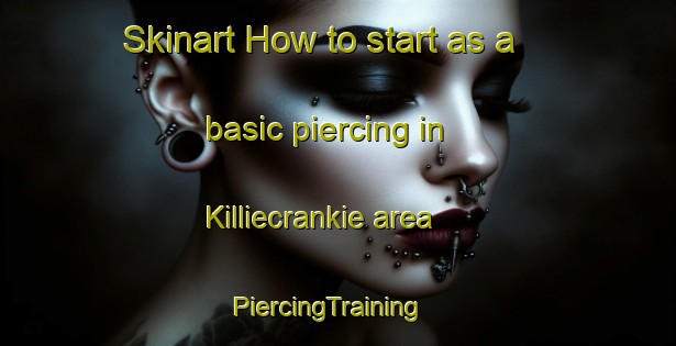 Skinart How to start as a basic piercing in Killiecrankie area | PiercingTraining | PiercingClasses | SkinartTraining-United Kingdom